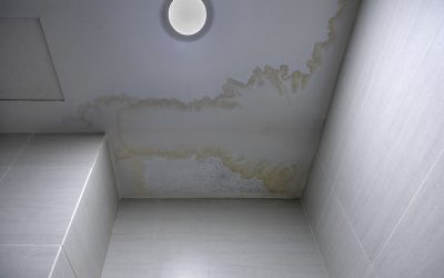 What Causes Roof Leaks